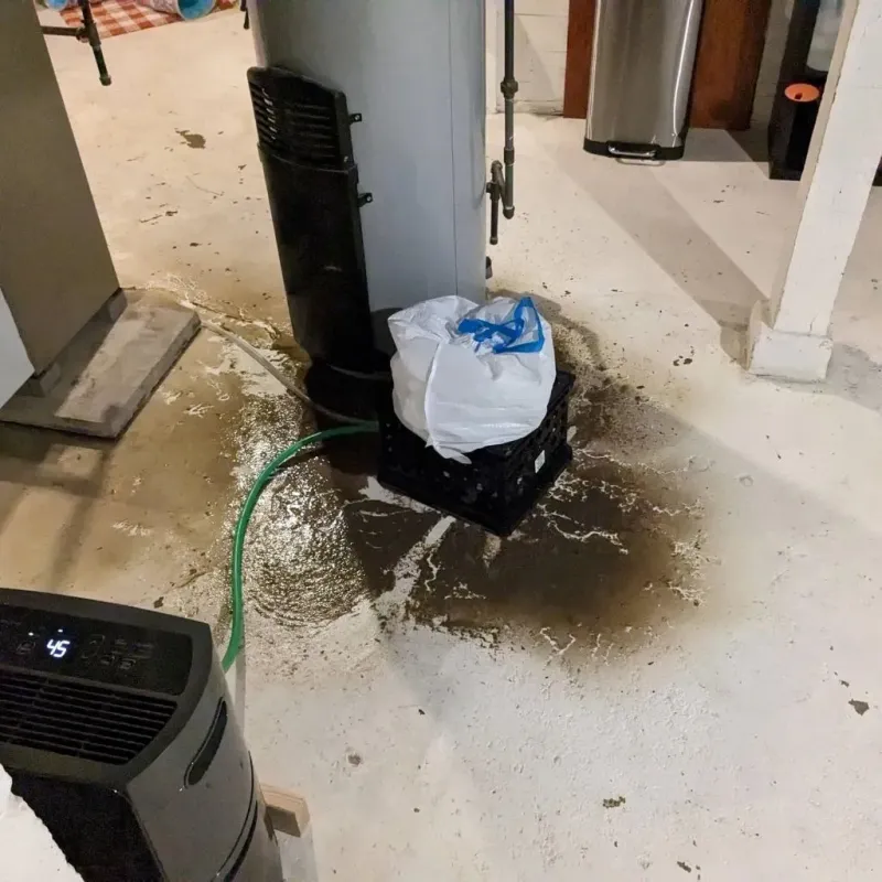Sewage Backup Cleanup Service in Berino, NM